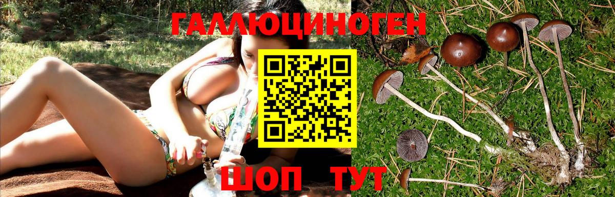 Галлюциногенные грибы мухоморы  Вход с VPN  Галлюциногенные грибы Psilocybe  Щёлково 